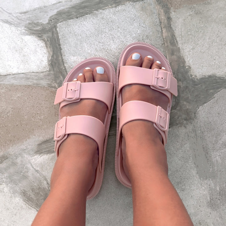 Soleseeker - Rose